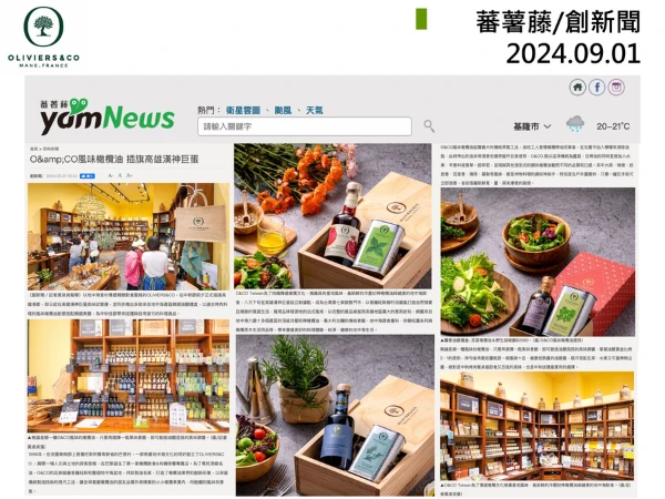 2024.9 番薯藤/創新聞