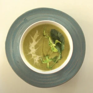 松露綠花椰濃湯