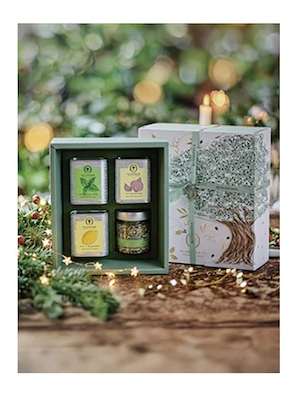 世紀風味油鹽四件組禮盒